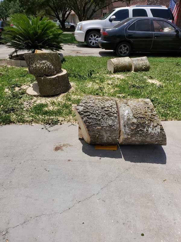 Tree Stump Removal