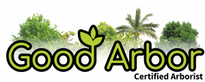 Good Arbor Certified Arborist Logo