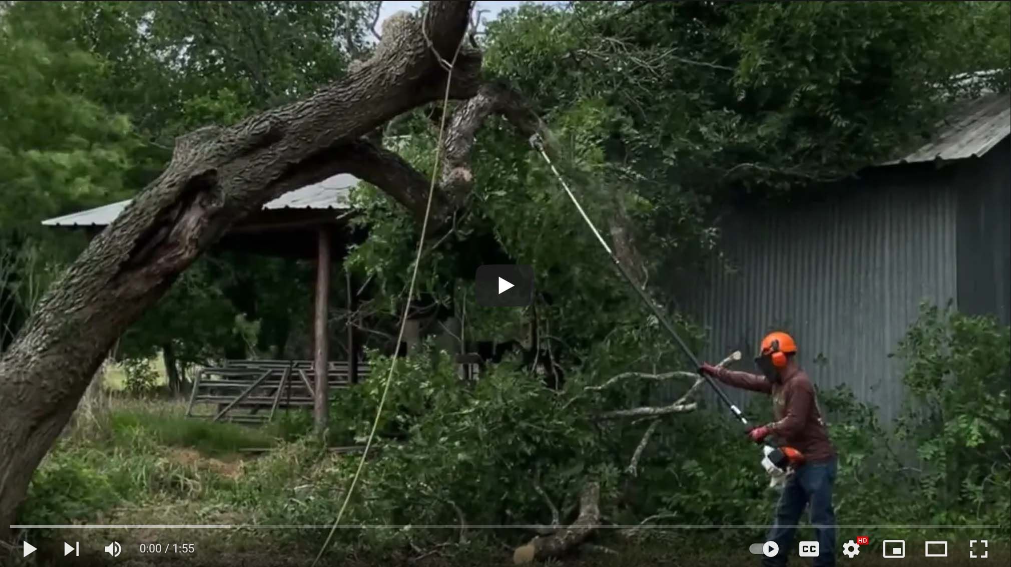 TreeWise Arbor Care Video