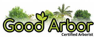 Good Arbor Certified Arborist Logo