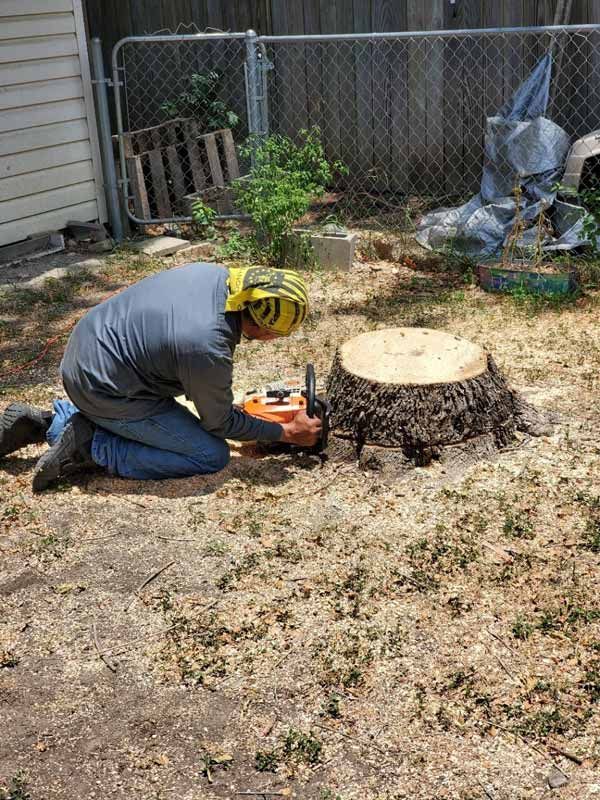 Tree Stump Removal