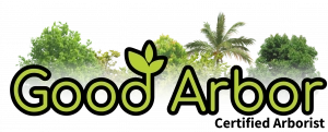 Good Arbor