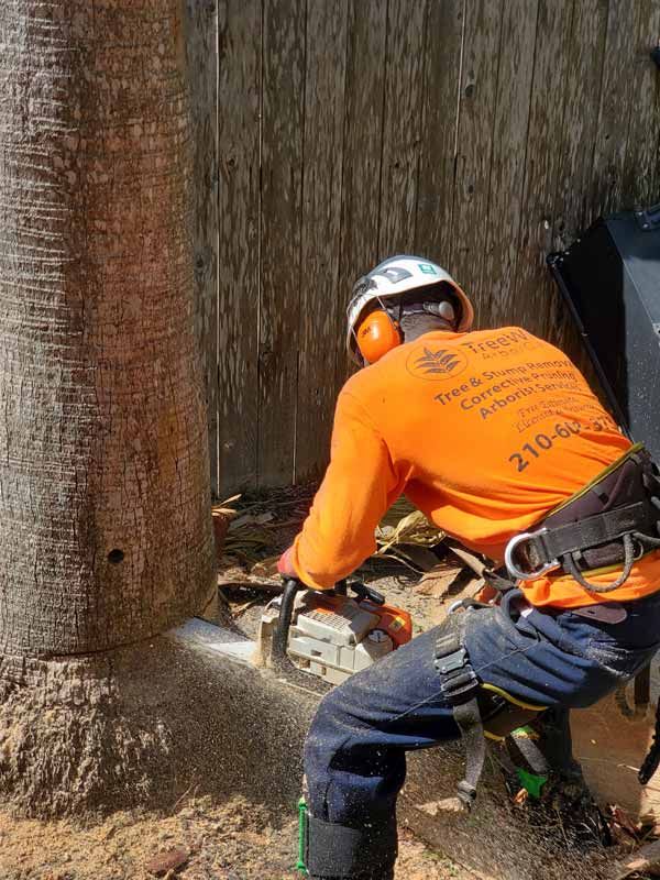 Tree Removal In San Antonio,Tx