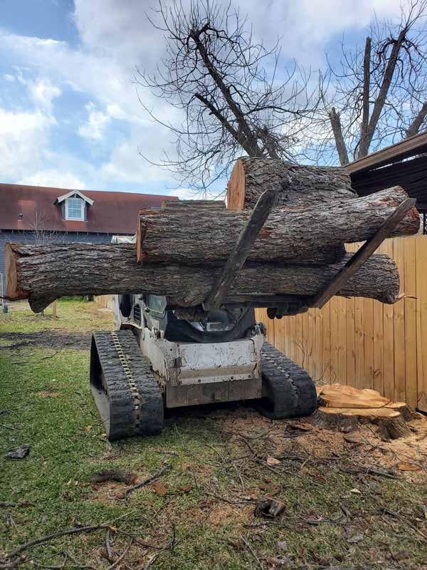 The Best Tree Removal in San Antonio, TX - 5-Star Rated Locally!